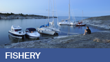 fishery