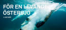 OM BALTIC SEA 2020