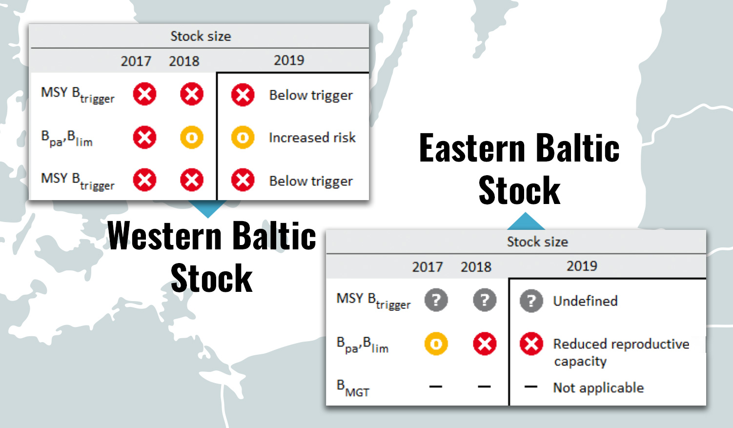 baltic stock