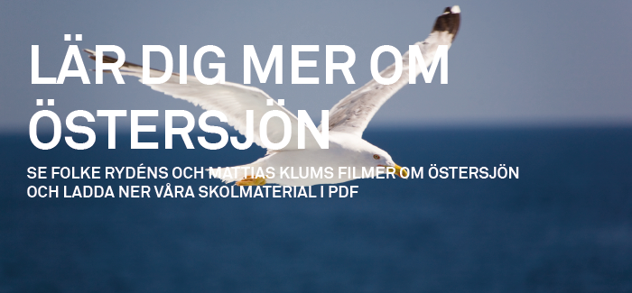 OPINION OCH FILM